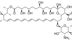 דוגמה לפוליאן - Amphotericin B