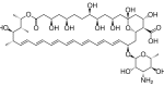 דוגמה לפוליאן - Amphotericin B