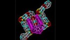 pinzeta_molecularit