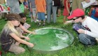 ניסוי במסגרת פסטיבל המדע במכון ויצמן. צילום: מכון ויצמן
