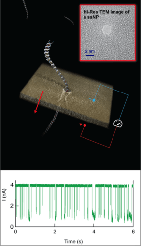 Figure: Transferring the sample through the nometric hole produced in a thin silicon nitride layer - and analyzing the sample. The bottom graph shows the measurement of the electric current in the hole - this is how the virus molecules are counted
