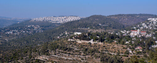 איזור שכונת עין כרם בהרי ירושלים.    <a href="https://depositphotos.com/">צילום: depositphotos.com</a>