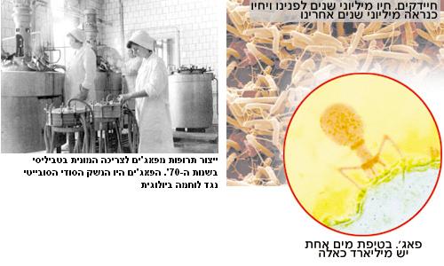 בקטריופאז'ים