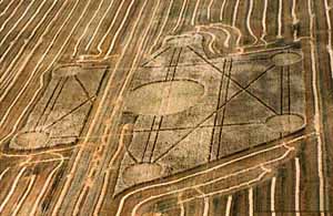 Marks in the corn field that were allegedly made by aliens