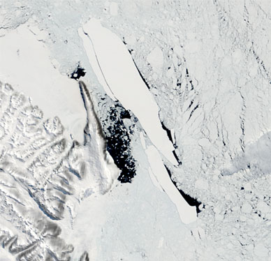 קרחון גדול מתנתק באנטרקטיקה, 2005. ההתחממות הגלובלית תגיע גם לאנטראטיקה