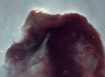 The Horsehead Nebula is shaded against a bright nebula: IC 434. The bright area in the upper left corner of the image is a young star. Photo: Hubble Space Telescope