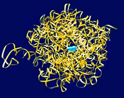 ريبوسوم (باللون البرتقالي) مأخوذ من بكتيريا معالجة بالمضادات الحيوية (باللون الأخضر). المضادات الحيوية تسد النفق الذي يتم من خلاله طرد البروتينات "تاريخ الإنسان حلقة عابرة في تاريخ البكتيريا"