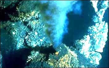 בתמונה: נביעות תת ימיות משמשות גם היום גן עדן לחיים בקרקעית הים