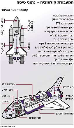 איור. הארץ