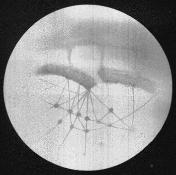 This is what Lovell saw in the telescope - Mars covered with canals.