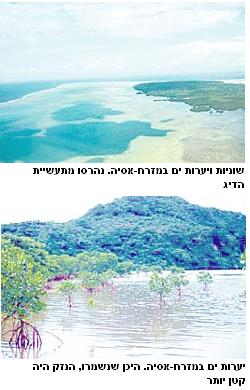 דרום מזרח אסיה