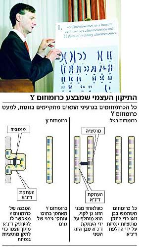 בתמונה העליונה, ד''ר דיוויד פייג', ראש צוות החוקרים, שלשום בוואשינגטון. הכרומוזום סיגל לעצמו תכונות  ייחודיות ומכיל עותק של ''גיבוי'' לעצמו