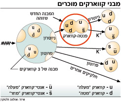 קווארקים