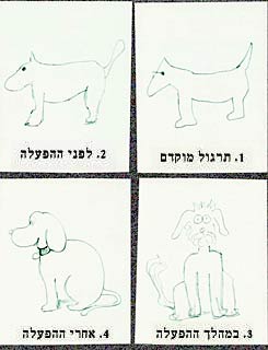 ארבעה איורים המתארים כלב שהתבקש נבדק לאייר תוך כדי הפעלת מכונת הגירוי החוץ-גולגולתי. בתוך דקות הופכים לצייר