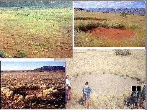 The fairy circles in South Africa