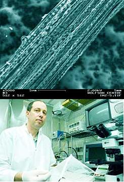 Above: Woven fibers, developed by Sussman Virin. The length of the line below, used as a scale: 5 millionths of a meter. Below them: Prof. Sussman. "If we can produce such tiny fibers that conduct electricity, imagine what Intel can do"