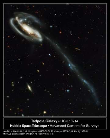 تظهر المجرة الحلزونية القزمة وأعمدة النجوم في أسفل اليسار