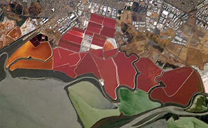 The salt evaporation ponds in southern San Francisco Bay. The color of the water is created as a result of the expression of the proteins in the microorganism Lobacterium salinarum