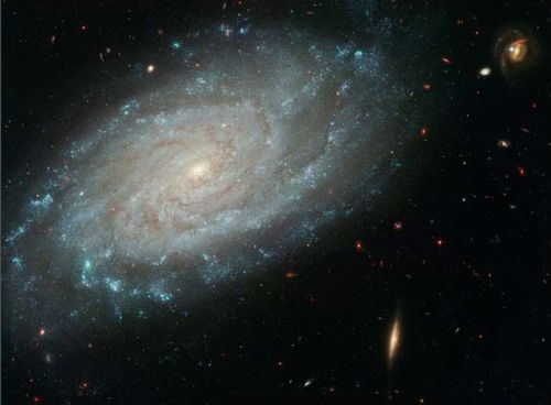 NGC 3370. צילום: צוות מורשת האבל