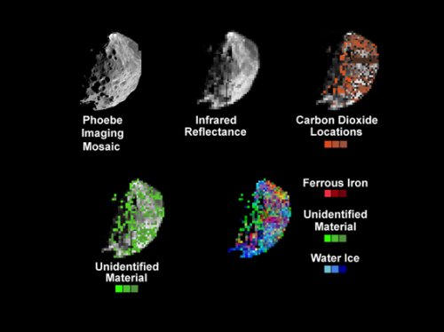 A selection of photos of Phoebe highlighting different material concentrations