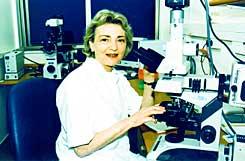 Prof. Degani in the Department of Biological Control at the Weizmann Institute. Since the contrast material travels through the blood vessels, the culture of microscopic blood vessels around the tumor, which characterizes cancerous tumors, can also be seen