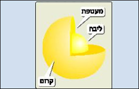 'הקרביים' של כוכב הלכת נוגה . כמה אזורים על פני מעטפת הכוכב מחזירים היטב אותות של מכ''ם , בגלל תרכובת המכילה עופרת, המכסה את פני השטח. 'הקרביים' של כוכב הלכת נוגה . כמה אזורים על פני מעטפת הכוכב מחזירים היטב אותות של מכ''ם , בגלל תרכובת המכילה עופרת, המכסה את פני השטח.