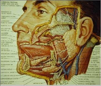 Biotechnology. illustration