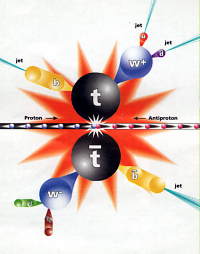 The collision of protons and antiprotons results in the creation of up quark and anti up quark pairs