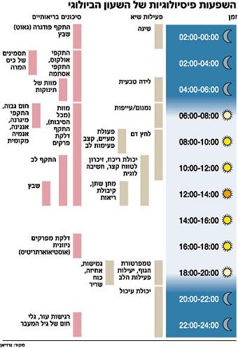 השפעות פיסיולוגיות של השעון הביולוגי