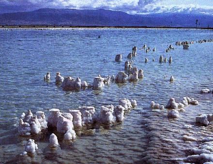 The Dead Sea. The high level of salinity damages DNA like solar radiation in space. Photo from the NASA website