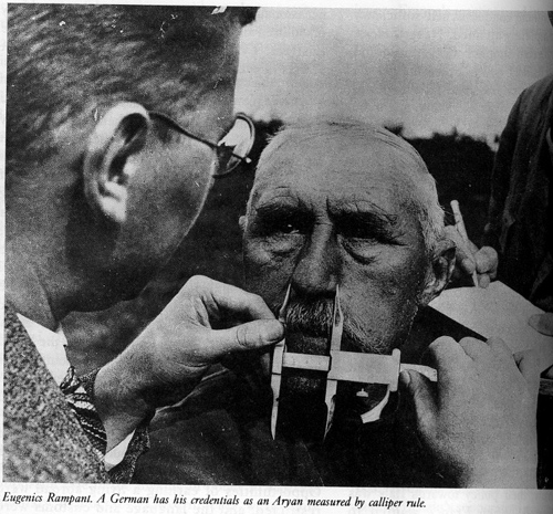 Measuring the width of the nose in Nazi Germany