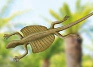 Conchaosaurus flying against the background of the vegetation of its time