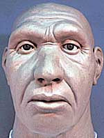 Model of a Neanderthal head. The differences did not allow mating