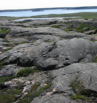 הסלעים העתיקים במחוזות הצפוניים של קוויבק, קנדה. (מקור: מכון קרנגי למדע)