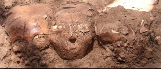 Jephthahel skulls. Photo courtesy of the Antiquities Authority