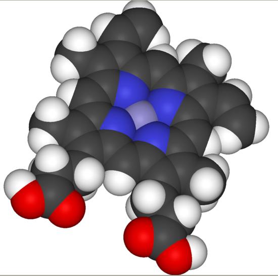 A structure of one of the HEME family proteins. From Wikipedia