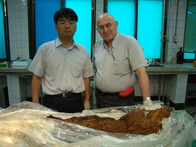 Prof. Mark Spiegelman from the Hebrew University and Prof. Dong Hon-Shin from the National University in Seoul are examining one of the mummies discovered in the laboratory. Photo courtesy of Seoul National University.