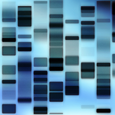 DNA analysis courtesy of the University of British Columbia