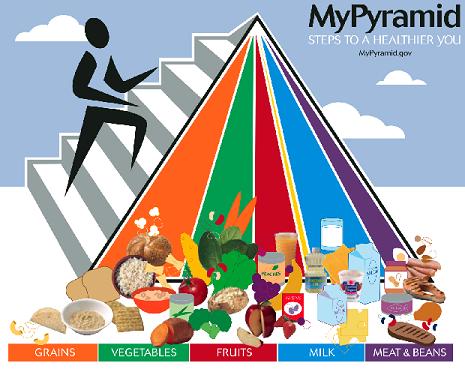 The nutrition pyramid, recommended by the US health authorities