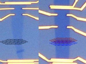 Single and double layer graphene. Photo: University of Maryland