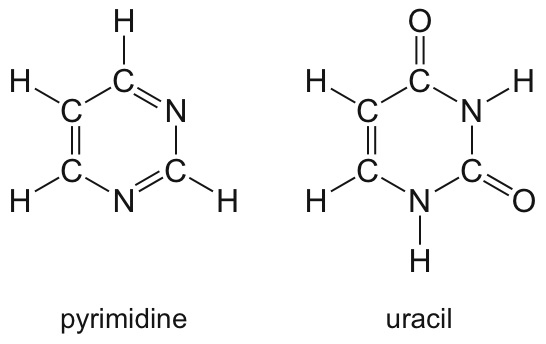 pyrimidine and uracil