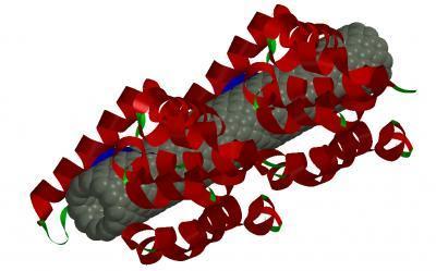 These resistant bactericidal agents hold significant promise in medical-related applications