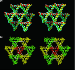 This is what DNA looks like. Photo: New York University