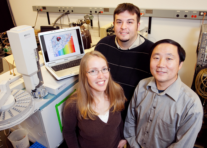 Tiffany Hopper, Nick Marshall and Prof. Yi Lu imitate nature and develop custom proteins. Photo: Brian Stauffer