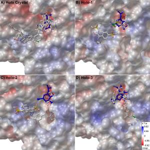 Using a protein structure created by supercomputers helps scientists fight strains that have developed resistance to existing drugs. (Source: UC San Diego)