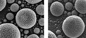 Viewing gold atoms in the state-of-the-art electron microscope (right) and the new helium ion microscope (left). The improvement in quality in the new microscope is immediately visible, and NIST researchers are working hard to improve measurement accuracy at the nanoscale. (Source: US National Institute of Standards and Technology)