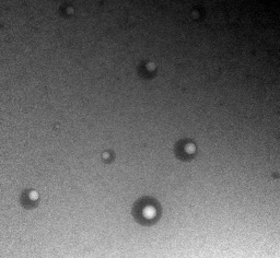 nanometer droplets. Photo: UCLA University