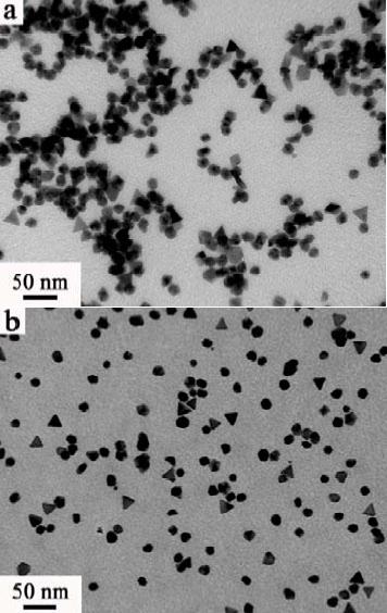 בדומה לזיקית זעירה, ננו-חלקיקים אלו של רודיום/פלדיום (למעלה) ופלטינה/פלדיום (בתמונה התחתונה), כפי שנצפו במיקרוסקופ אלקטרוני, משנים את צורתם בהתאם לשינויים בסביבתם. מעקב אחר שינויים אלו יוכל לסייע בשיפור יעילותם של תגובות קטליטיות.