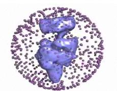 RNA polymerase