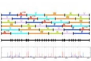 A system for determining the chemical composition of an unknown molecule